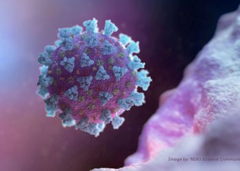 Covid-19: Brasil registra 2º maior número de casos diários desde o início da pandemia