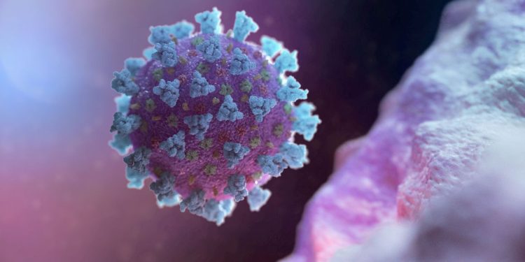 Covid-19: Brasil registra 2º maior número de casos diários desde o início da pandemia