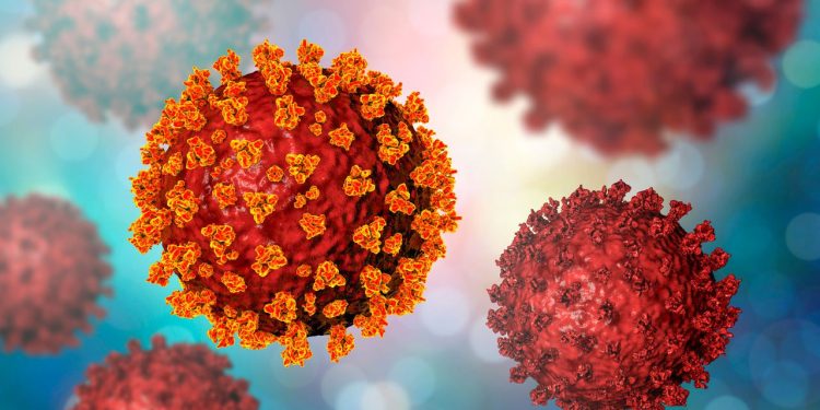 Varíola dos macacos, hepatite misteriosa, covid: o mundo está mais propenso a surtos e epidemias?