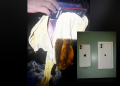 Ação policial da PMPI e PCPE recupera em Petrolina o último  Iphone  entre 27 celulares furtados em loja de Paulistana