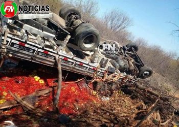 ACIDENTE: Caminhão carregado com frutas desce a pista e tomba na BR-407, em Jacobina do Piauí