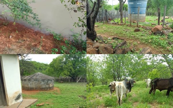 Vende-se três propriedades rurais com benfeitorias no povoado Tigre