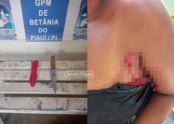 Violência Domestica: Homem disfere golpe de faca em sua companheira e acaba preso pela PM