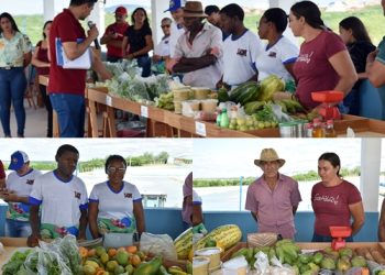 Feira da Agricultura Familiar é realizada em Paulistana com palestra p/ microempreendedores