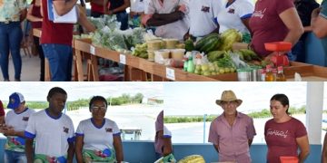 Feira da Agricultura Familiar é realizada em Paulistana com palestra p/ microempreendedores