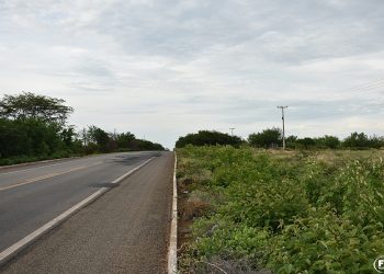 Vende-se várias áreas urbanas com 18ha cada, em Paulistana