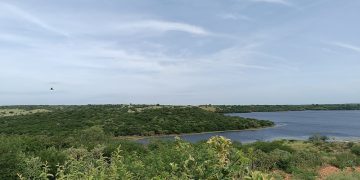 Vende-se excelente terreno em Paulistana