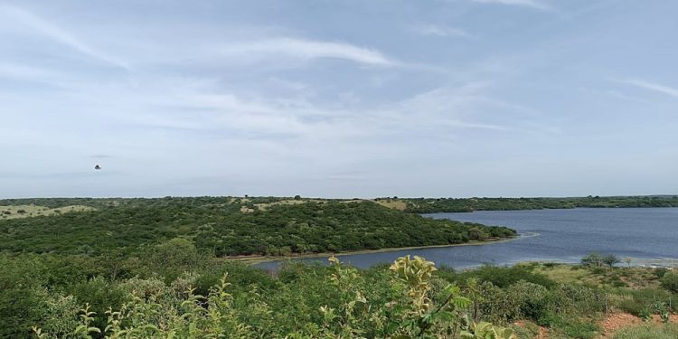 Vende-se excelente terreno em Paulistana