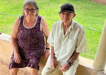 Casal de idosos morre após ser atacado por enxame de abelhas em Jacobina-PI