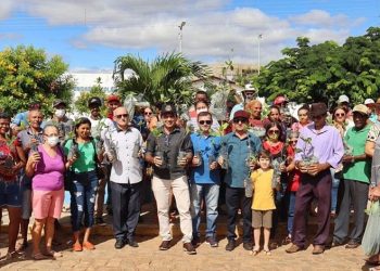 Prefeitura de Queimada Nova incentiva preservação ambiental com entrega de mudas de caju à população