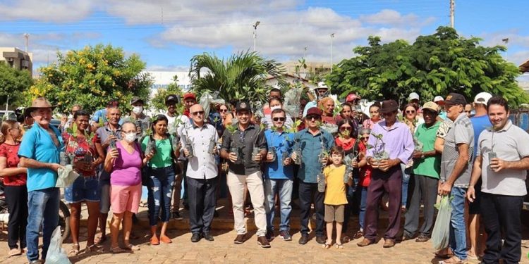 Prefeitura de Queimada Nova incentiva preservação ambiental com entrega de mudas de caju à população