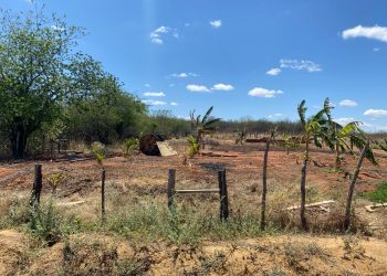 Vende-se ou Troca: Lote para Chácara na PI próximo a Paulistana