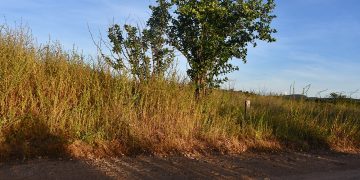 Vende-se Dois Terrenos no Bairro Alto Vistoso em Paulistana, com Vista para o Açude Ingazeira