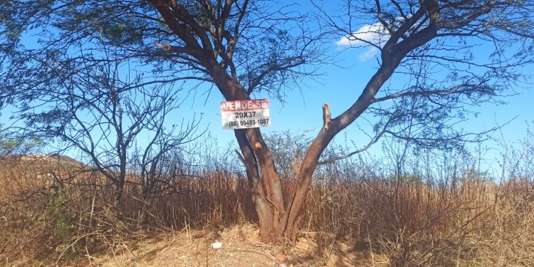 Oportunidade Imperdível: Terrenos à Venda no Bairro Alto Vistoso, em Paulistana
