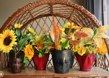 Marques Festas Oferece Lindos Arranjos Florais com Preços Acessíveis