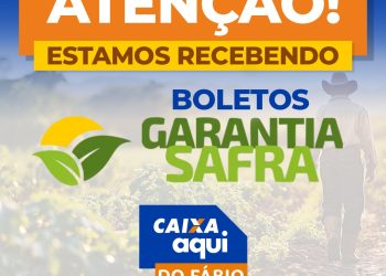 Conexão Multisserviços e Caixa Aqui do Fábio: Soluções Rápidas e Práticas para Você!