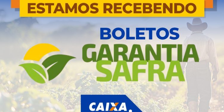 Conexão Multisserviços e Caixa Aqui do Fábio: Soluções Rápidas e Práticas para Você!