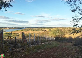 Oportunidade Imperdível!