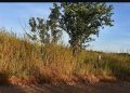 Terrenos à Venda no Alto Vistoso – Vista Privilegiada e Parcelamento em até 4x