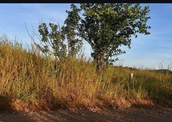 Terrenos à Venda no Alto Vistoso – Vista Privilegiada e Parcelamento em até 4x