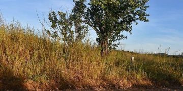 Terrenos à Venda no Alto Vistoso – Vista Privilegiada e Parcelamento em até 4x